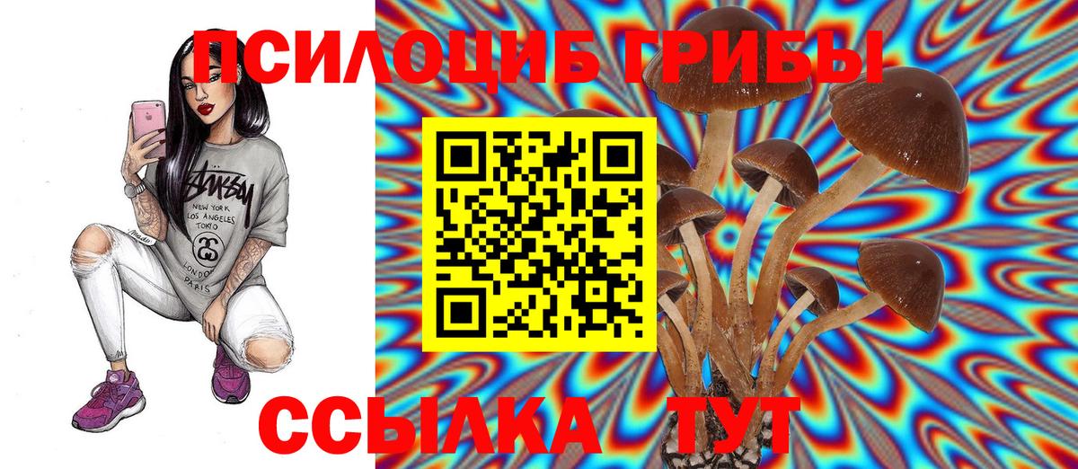 Галлюциногенные грибы Psilocybe  Вход с VPN  Кушва 
